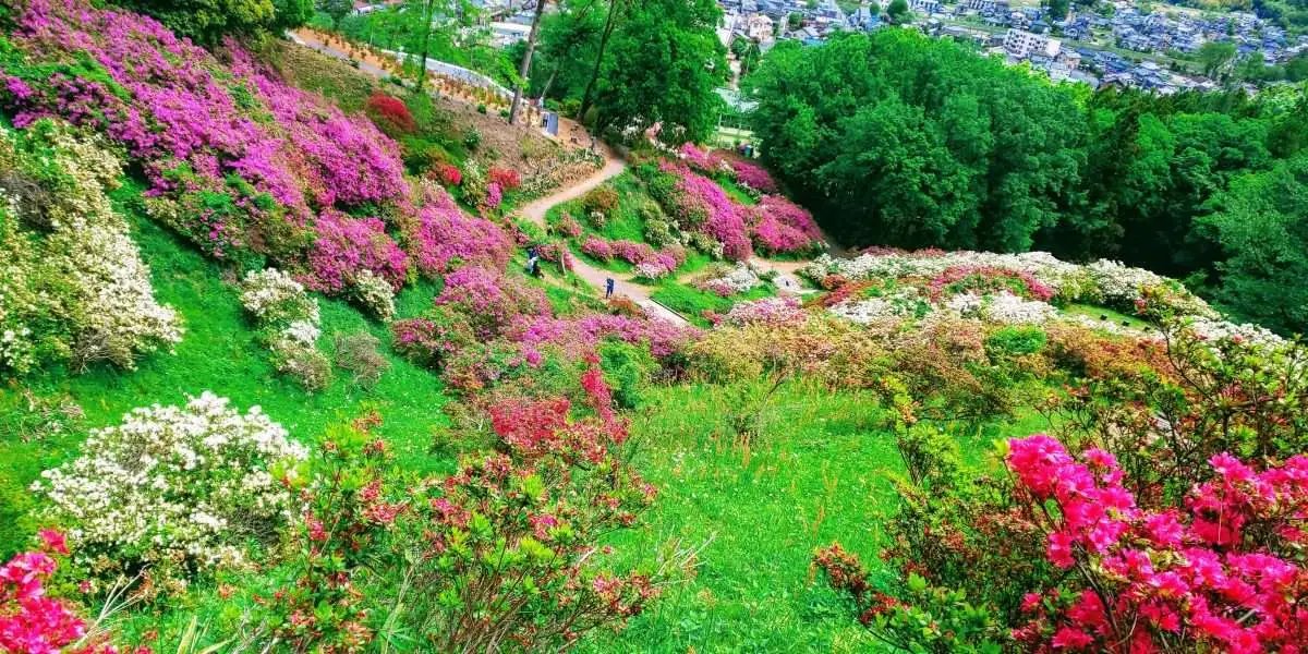 🏞️ 니시야마 공원 이미지 7